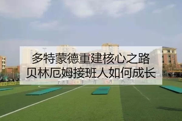 多特蒙德重建核心之路 贝林厄姆接班人如何成长