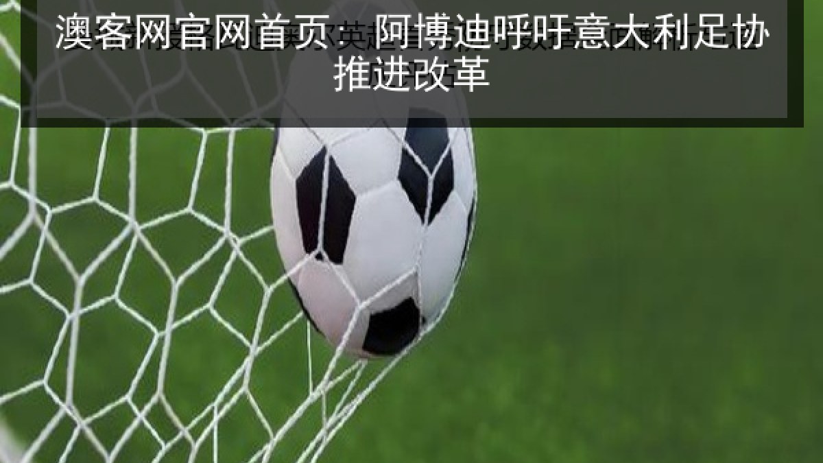 澳客网官网首页: 阿博迪呼吁意大利足协推进改革 澳客网官网首页: 阿博迪呼吁意大利足协推进改革